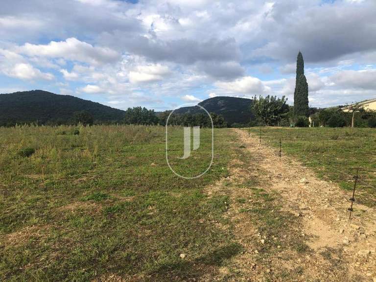 Terrain Grimaud - 4320m²