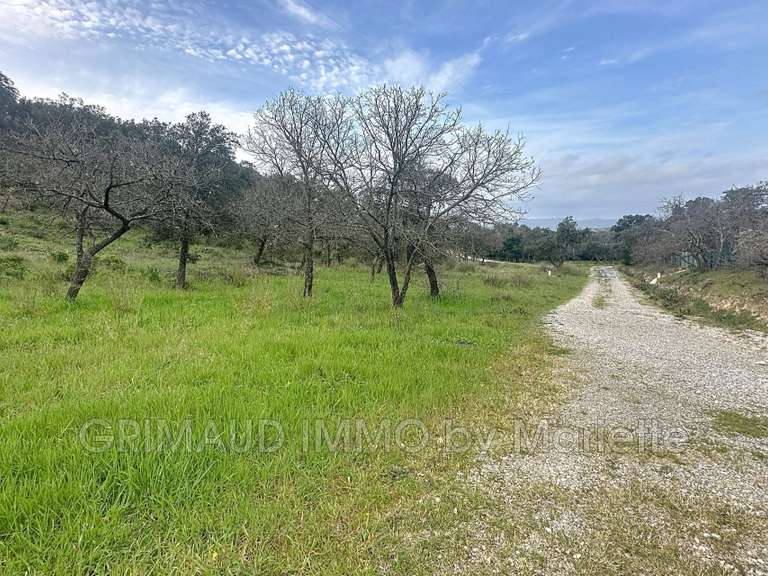 Terrain Grimaud - 6922m²