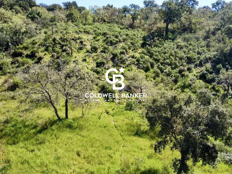 Terrain Grimaud - 6922m²