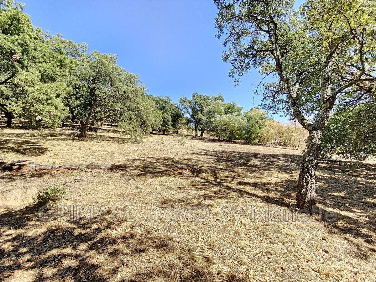 Terrain Grimaud