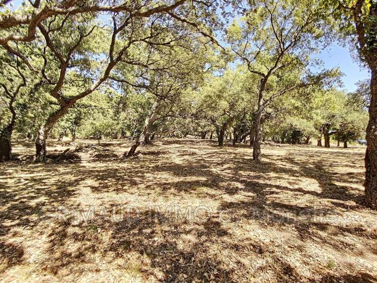 Terrain Grimaud - 6350m²