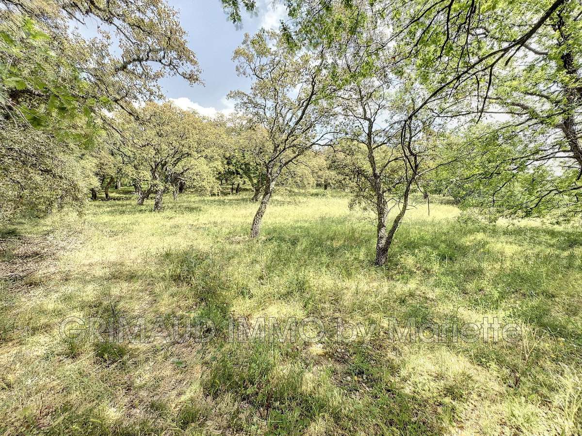 Terrain Grimaud