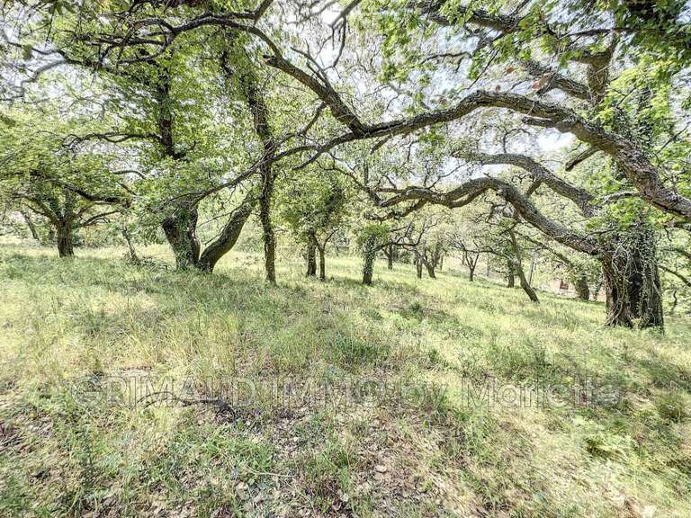 Terrain Grimaud - 6350m²
