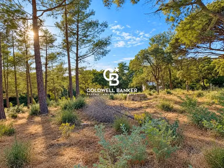 Terrain Grimaud - 1803m²