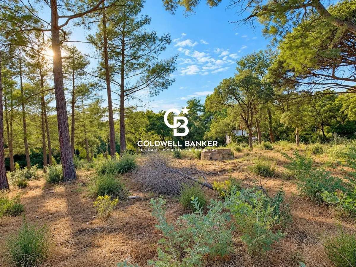 Terrain Grimaud