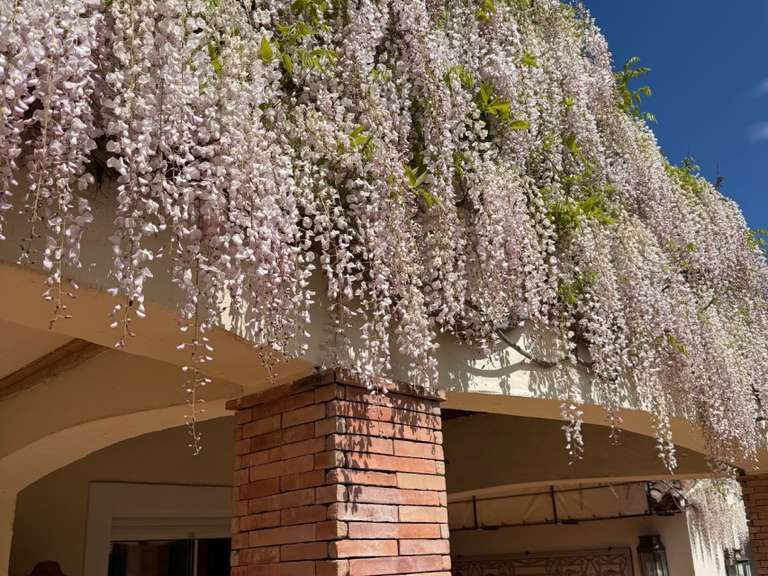 Villa Grimaud - 5 chambres - 234m²