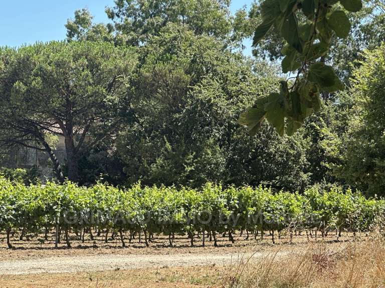 Villa Grimaud - 1 bedroom - 85m²