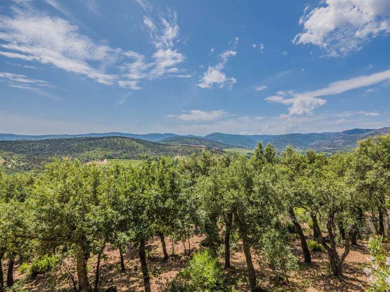 Villa Grimaud - 6 chambres - 325m²