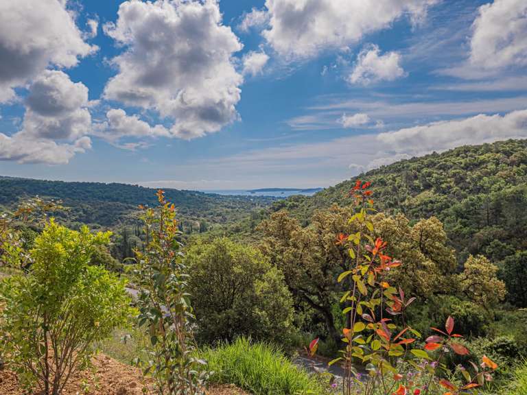 Villa Grimaud - 5 chambres - 269m²