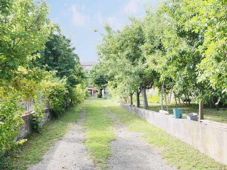 Maison Grisolles - 4 chambres - 310m²
