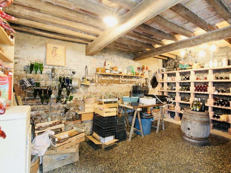 Maison Grisolles - 4 chambres - 310m²