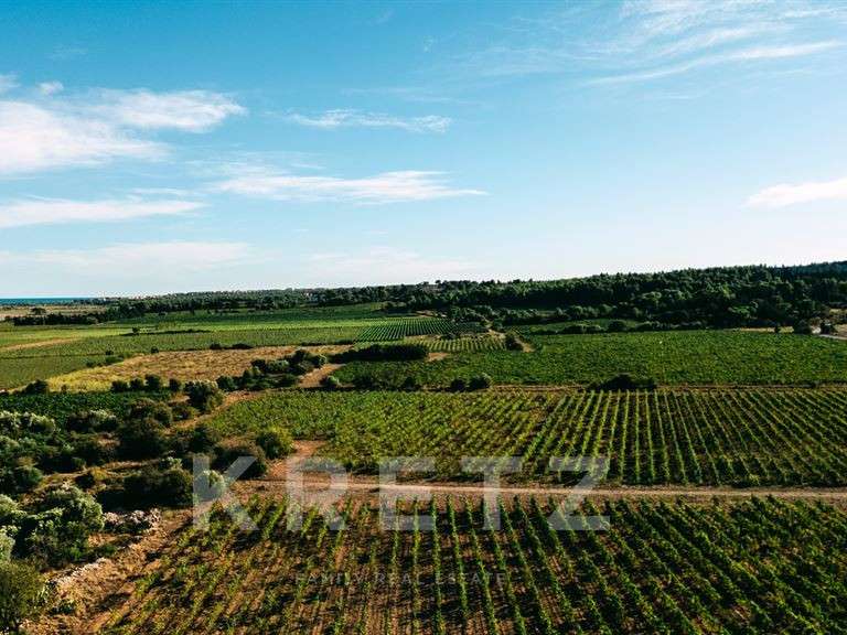 Domaine viticole avec Vue sur mer Gruissan - 11 chambres - 1500m²