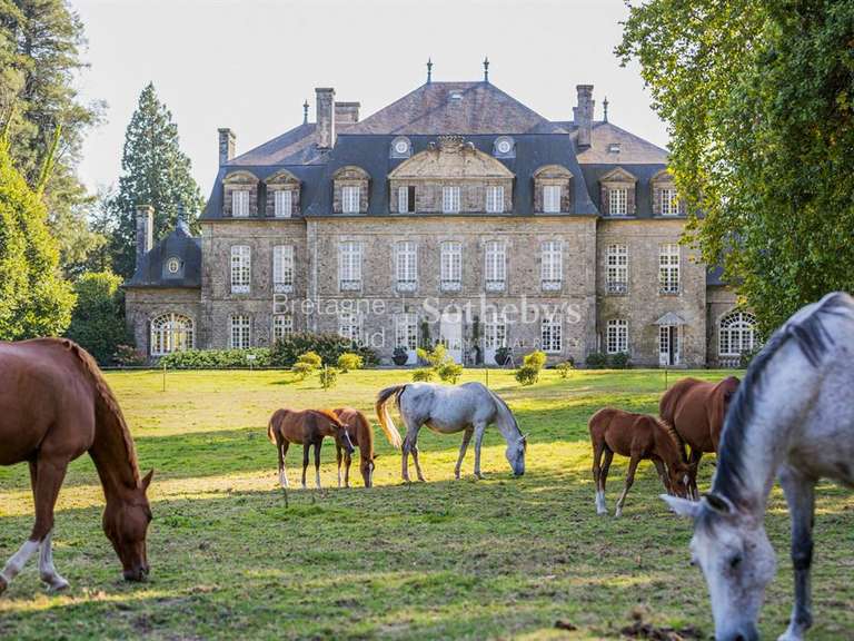 Château Guémené-sur-Scorff - 1200m²