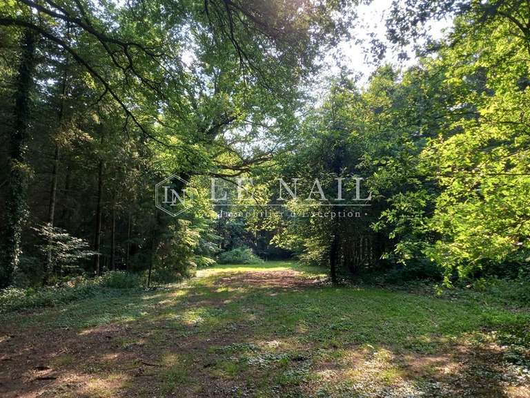 Manoir Guer - 4 chambres - 241m²