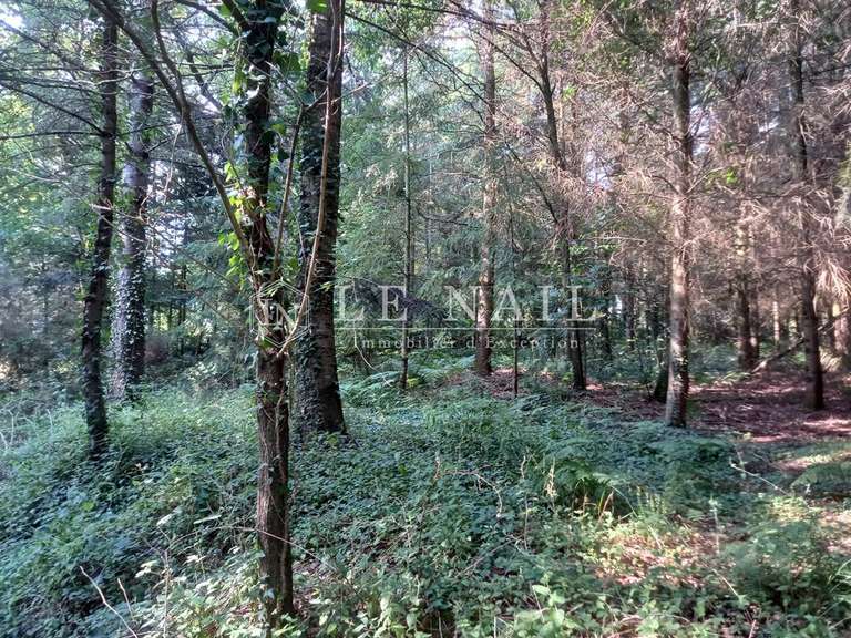 Manoir Guer - 4 chambres - 241m²