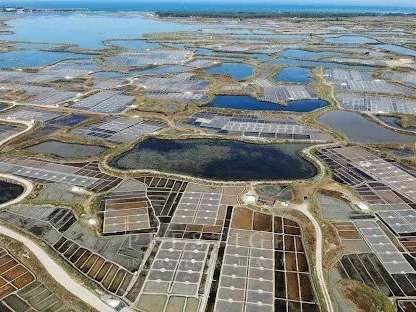 Villa Guérande - 7 chambres - 175m²