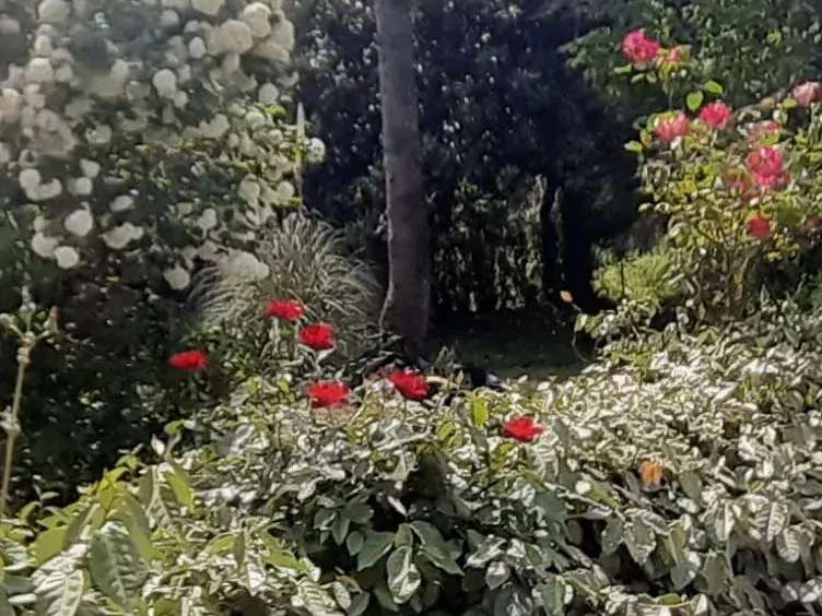 Villa Guérande - 7 chambres - 175m²