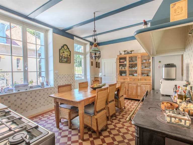 Castle Gueugnon - 600m²