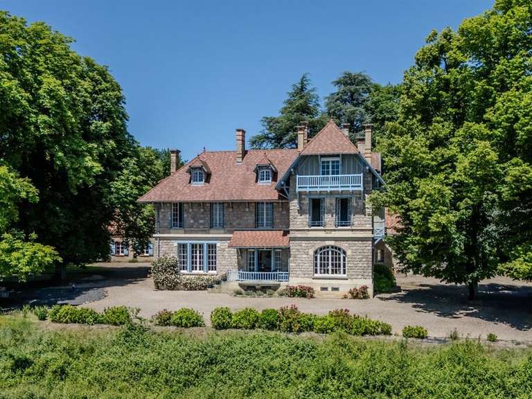 Castle Gueugnon - 600m²