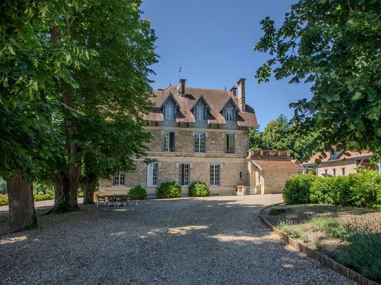 Castle Gueugnon - 600m²