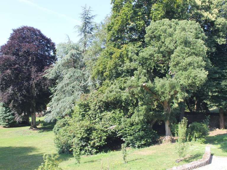 House Guingamp - 15 bedrooms