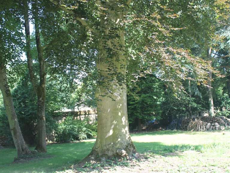 Maison Guingamp - 15 chambres