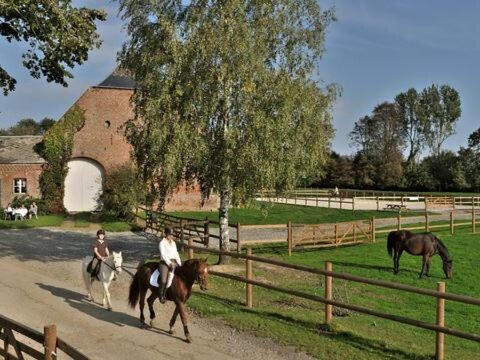 Maison Guise - 506m²