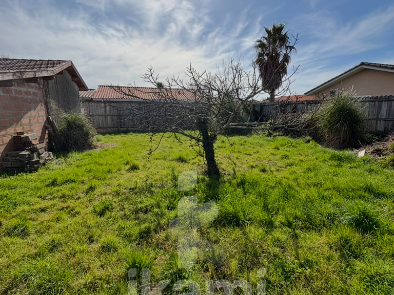 Maison Gujan-Mestras - 2 chambres - 61m²