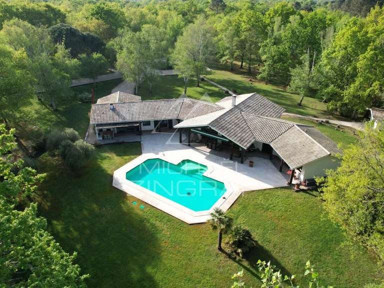 Propriété Gujan-Mestras - 740m²