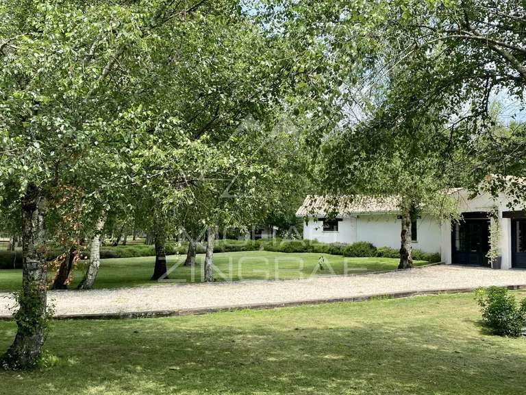 Propriété Gujan-Mestras - 740m²