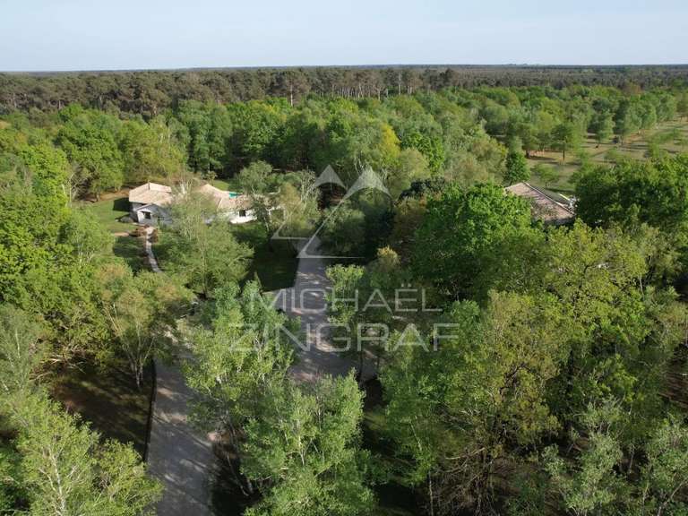 Propriété Gujan-Mestras - 740m²