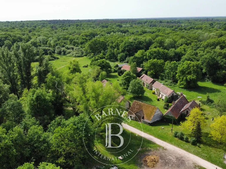 Property Gy-en-Sologne - 4 bedrooms - 172m²