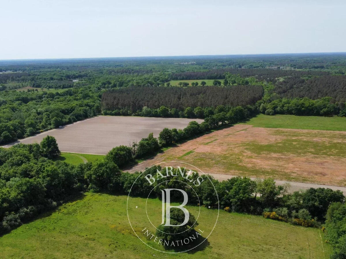 Property Gy-en-Sologne
