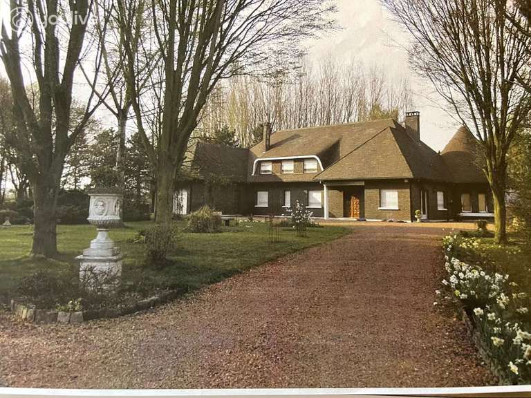 Maison Hénin-Beaumont - 5 chambres