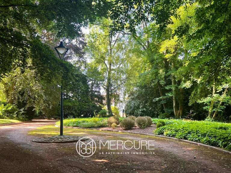 Maison Hesdin - 5 chambres - 329m²