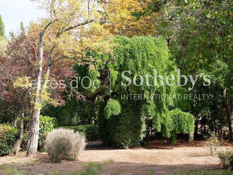 Maison Homps - 455m²