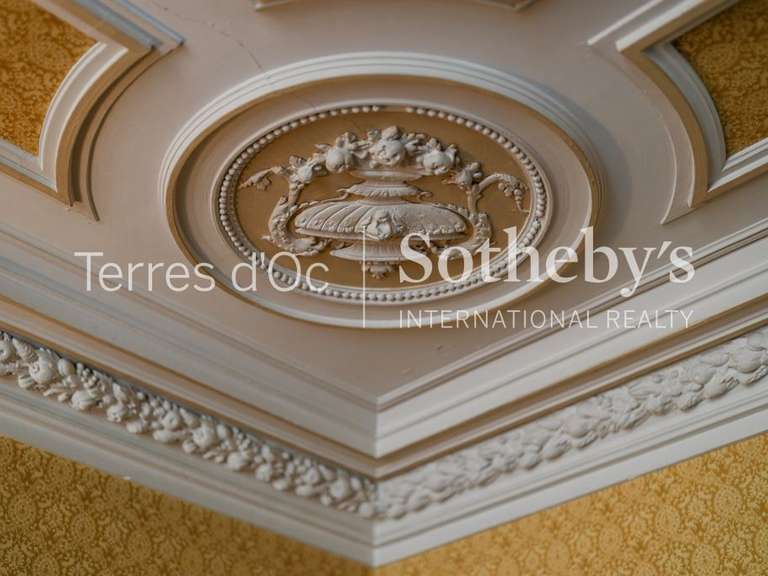 Maison Homps - 6 chambres - 336m²