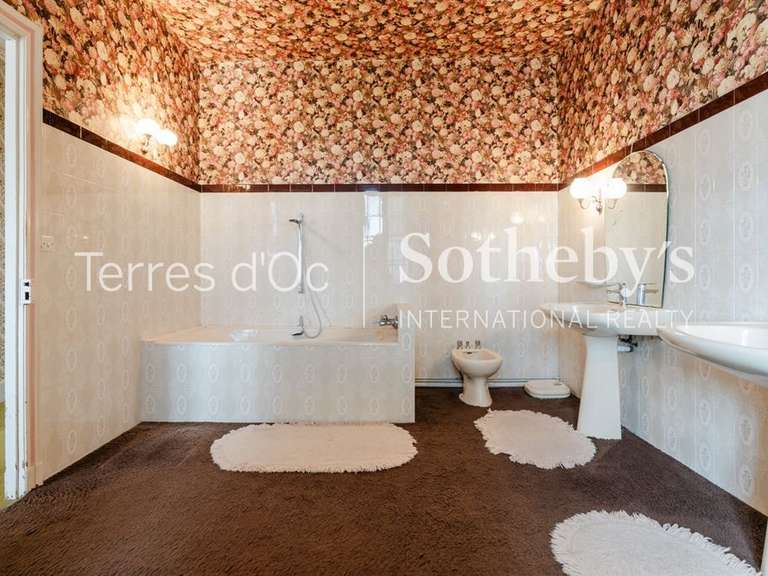 Maison Homps - 6 chambres - 336m²