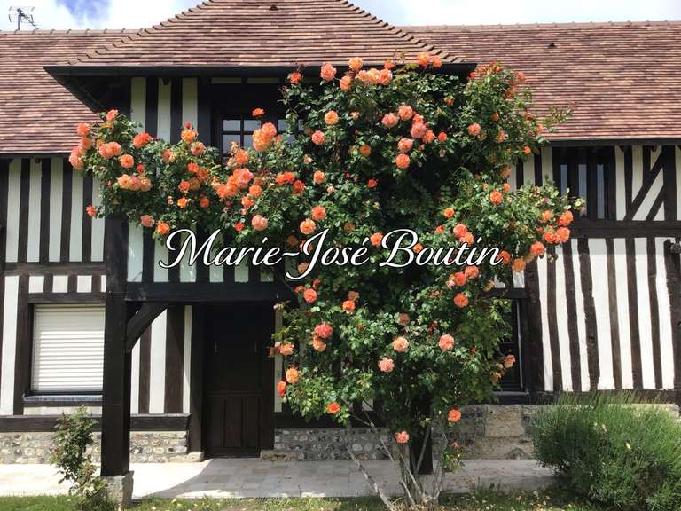 Maison Honfleur - 6 chambres - 250m²