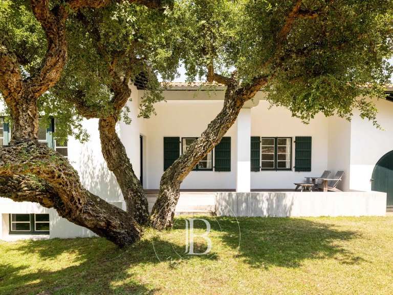 Maison Hossegor - 5 chambres - 220m²