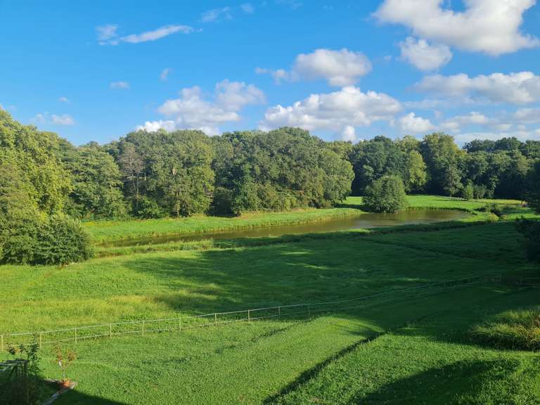 Maison Hossegor - 5 chambres - 330m²