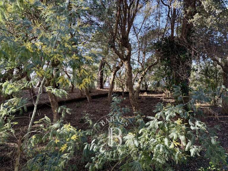 Maison Hossegor - 3 chambres - 210m²