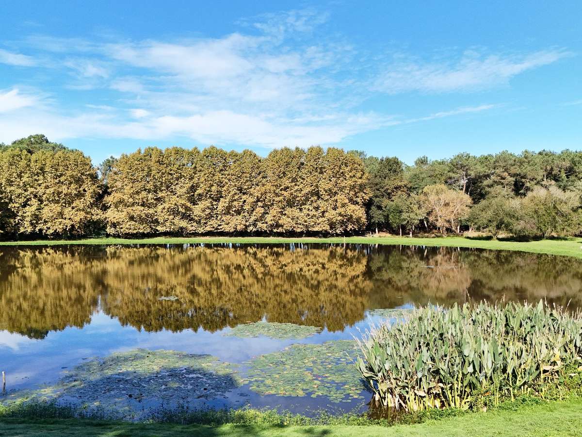 Propriété Hossegor