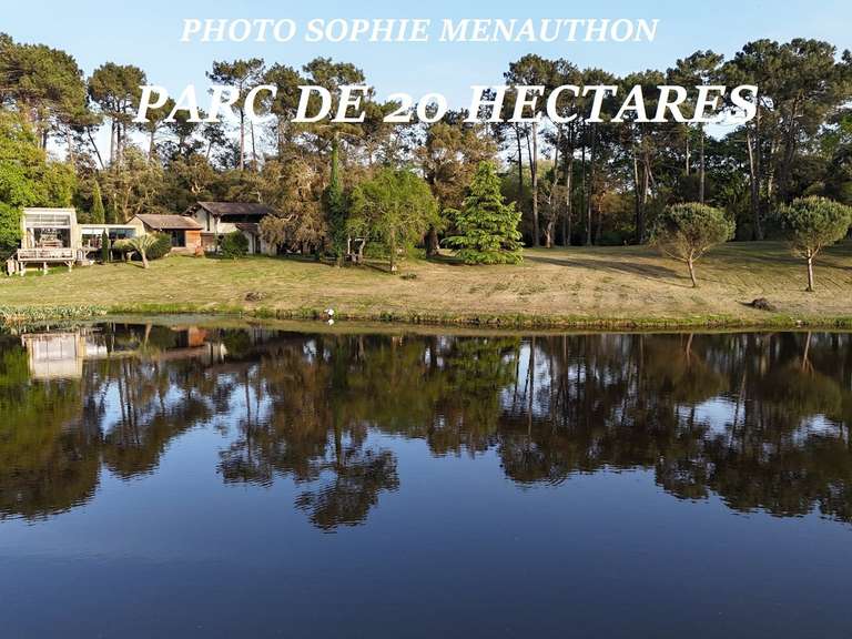 Propriété Hossegor - 4 chambres - 500m²