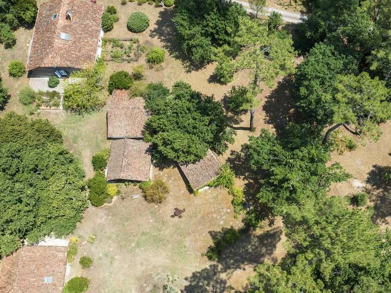 Propriété Hossegor - 5 chambres - 300m²
