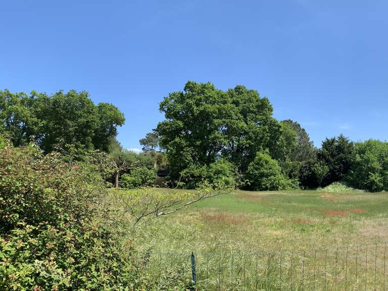Terrain Hossegor - 1800m²