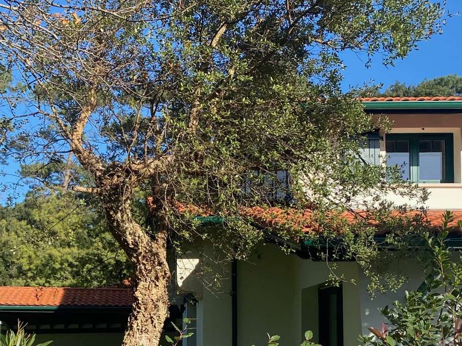 Villa Hossegor