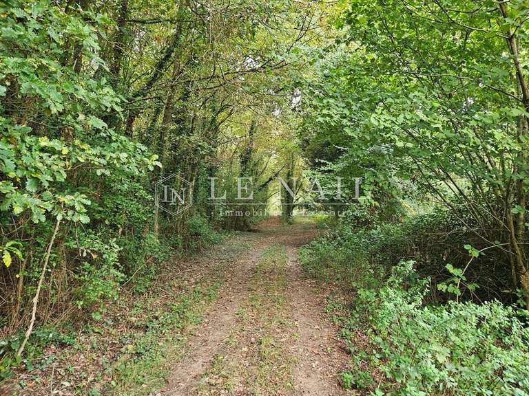 Terrain Houssay - 140m²