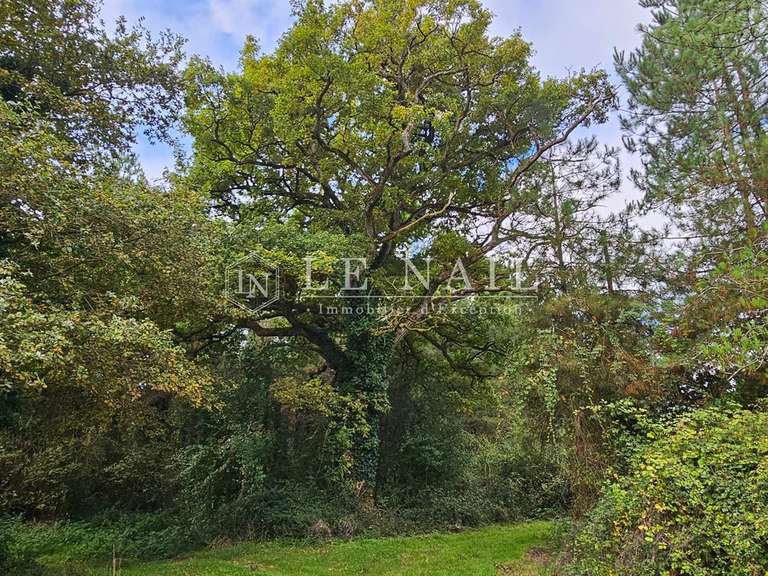 Terrain Houssay - 140m²