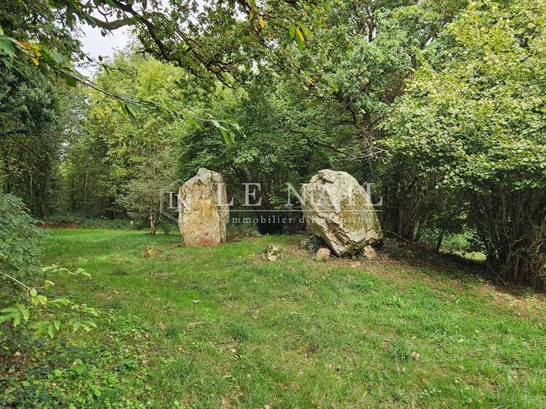 Terrain Houssay - 140m²